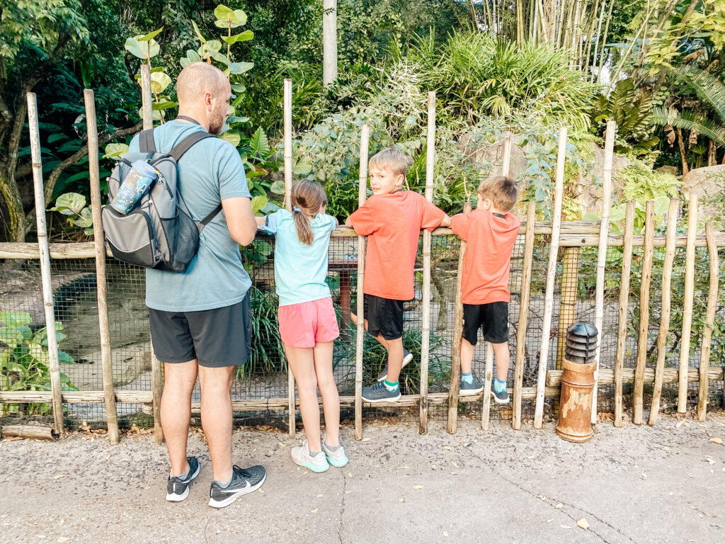 Dad and 3 kids at Animal Kingdom