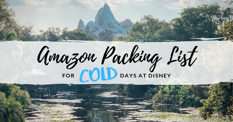 Disney in the Cold – Amazon Packing List