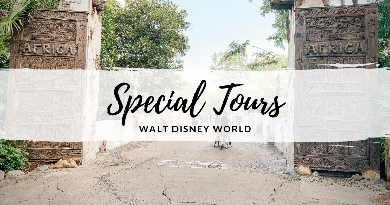 Special Tours at Walt Disney World