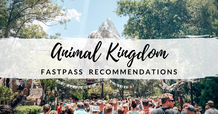 Animal Kingdom FastPass Recommendations