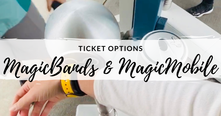 Disney World Ticket Options: Choosing the Best One